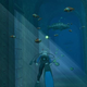 Illustration for article titled Taking A Dip In Endless Ocean 2 Screenshots